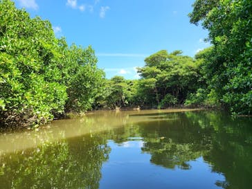 石垣島 ADVENTURE PiPi（イシガキジマアドベンチャーピピ）に投稿された画像（2023/9/9）