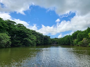 石垣島 ADVENTURE PiPi（イシガキジマアドベンチャーピピ）に投稿された画像（2023/9/9）