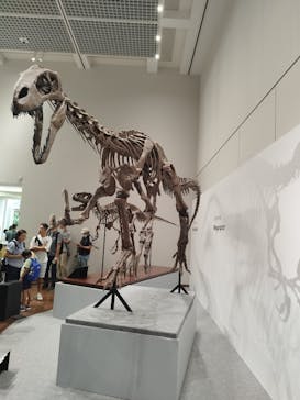 大阪市立自然史博物館に投稿された画像（2023/9/9）