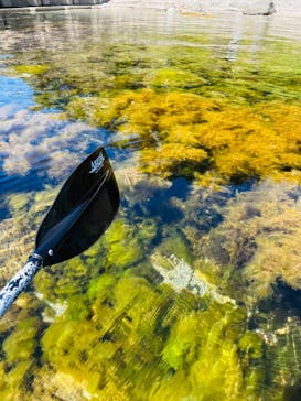 Green Blue あつみに投稿された画像（2023/9/9）