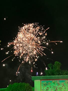 日本モンキーパークに投稿された画像（2023/9/9）