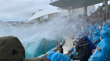 鴨川シーワールドに投稿された画像（2023/9/9）