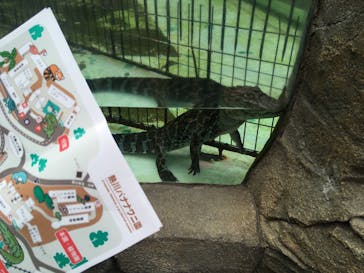 熱川バナナワニ園に投稿された画像（2023/9/9）