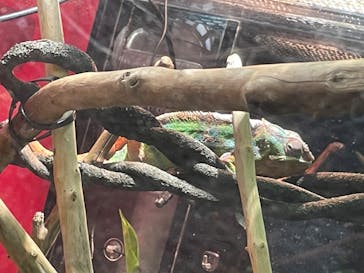 カワスイ 川崎⽔族館に投稿された画像（2023/9/9）