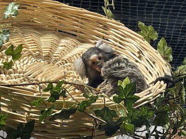 カワスイ 川崎⽔族館に投稿された画像（2023/9/9）