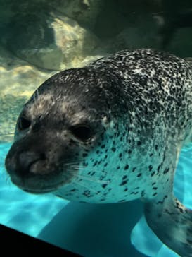 アクアワールド茨城県大洗水族館に投稿された画像（2023/9/9）