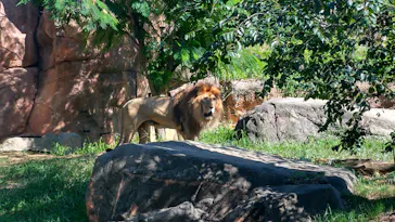 天王寺動物園に投稿された画像（2023/9/9）