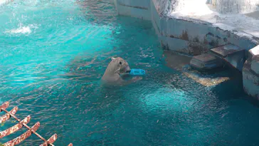 天王寺動物園に投稿された画像（2023/9/9）