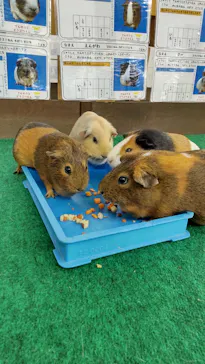 天王寺動物園に投稿された画像（2023/9/9）