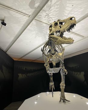 DinoScience 恐竜科学博 2023@TOKYO MIDTOWNに投稿された画像（2023/9/9）