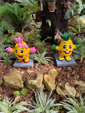 ナゴパイナップルパークに投稿された画像（2023/9/9）