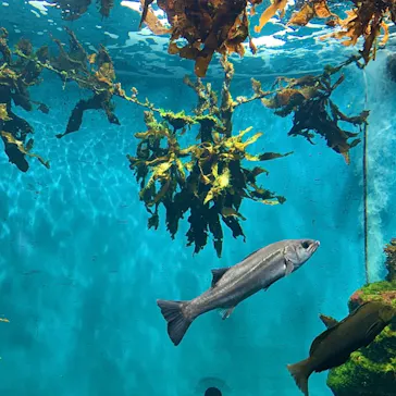 仙台うみの杜水族館に投稿された画像（2023/9/9）