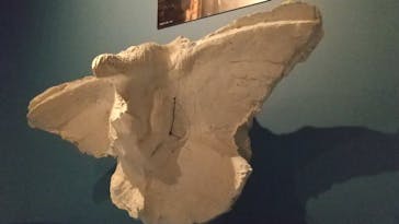 ガウディとサグラダ・ファミリア展 （東京国立近代美術館）に投稿された画像（2023/9/9）