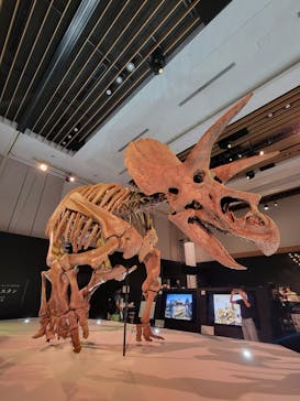 DinoScience 恐竜科学博 2023@TOKYO MIDTOWNに投稿された画像（2023/9/9）