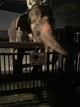 那須サファリパークに投稿された画像（2023/9/9）