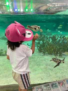 鴨川シーワールドに投稿された画像（2023/9/9）
