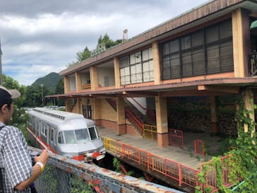 日本モンキーパークに投稿された画像（2023/9/9）