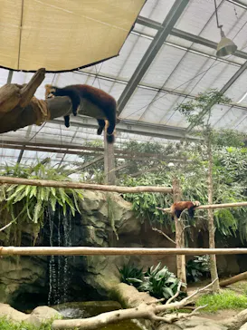 神戸どうぶつ王国に投稿された画像（2023/9/9）