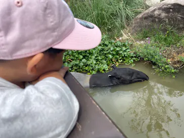 神戸どうぶつ王国に投稿された画像（2023/9/9）