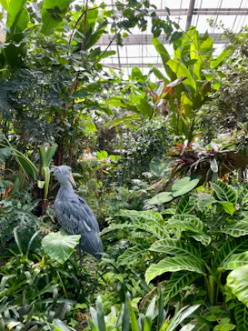 神戸どうぶつ王国に投稿された画像（2023/9/9）