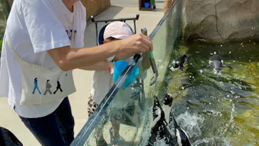 神戸どうぶつ王国に投稿された画像（2023/9/9）