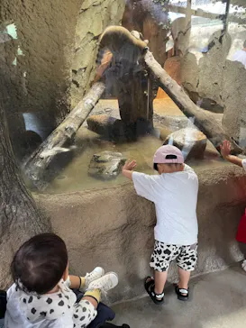 神戸どうぶつ王国に投稿された画像（2023/9/9）