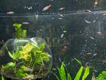 九十九島水族館海きららに投稿された画像（2023/9/9）