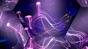 九十九島水族館海きららに投稿された画像（2023/9/9）