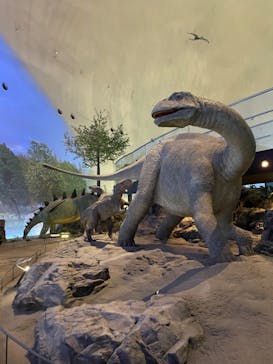 福井県立恐竜博物館に投稿された画像（2023/9/9）