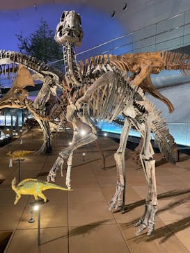 福井県立恐竜博物館に投稿された画像（2023/9/9）