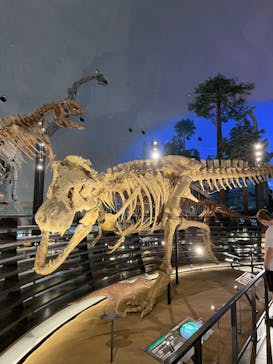 福井県立恐竜博物館に投稿された画像（2023/9/9）