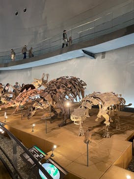 福井県立恐竜博物館に投稿された画像（2023/9/9）