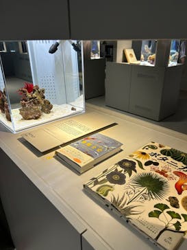 AOAO SAPPOROに投稿された画像（2023/9/9）