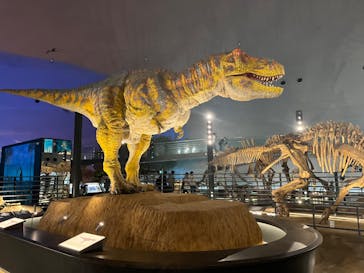 福井県立恐竜博物館に投稿された画像（2023/9/9）