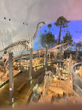 福井県立恐竜博物館に投稿された画像（2023/9/9）