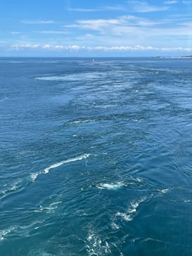 徳島県立 渦の道に投稿された画像（2023/9/10）