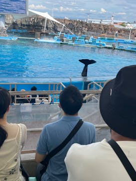 名古屋港水族館に投稿された画像（2023/9/10）