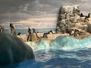 名古屋港水族館に投稿された画像（2023/9/10）