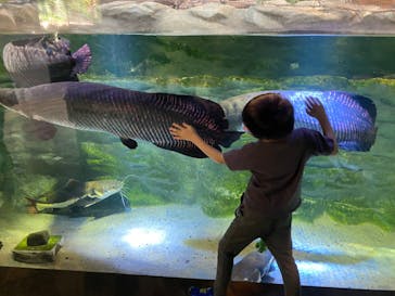 カワスイ 川崎⽔族館に投稿された画像（2023/9/10）