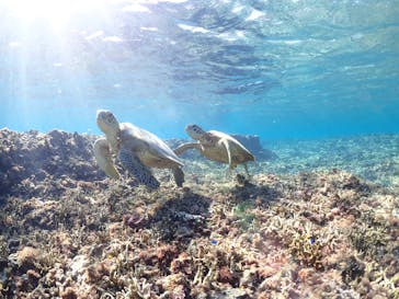 宮古島マリン GB QUESTに投稿された画像（2023/9/10）