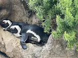 サンシャイン水族館に投稿された画像（2023/9/10）
