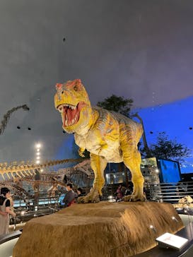 福井県立恐竜博物館に投稿された画像（2023/9/10）
