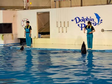 登別マリンパークニクスに投稿された画像（2023/9/10）