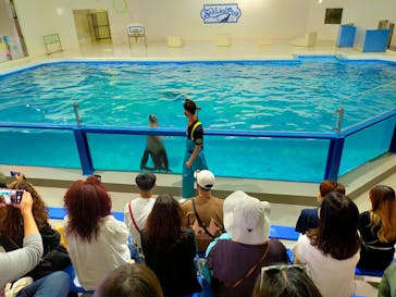 登別マリンパークニクスに投稿された画像（2023/9/10）