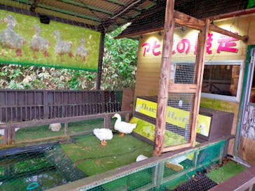 のぼりべつクマ牧場に投稿された画像（2023/9/10）