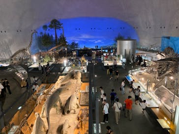 福井県立恐竜博物館に投稿された画像（2023/9/10）