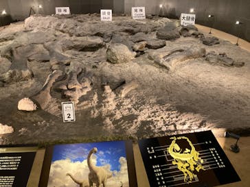 福井県立恐竜博物館に投稿された画像（2023/9/10）
