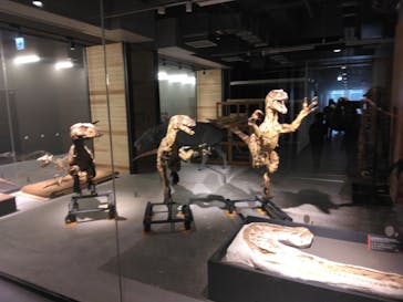 福井県立恐竜博物館に投稿された画像（2023/9/10）