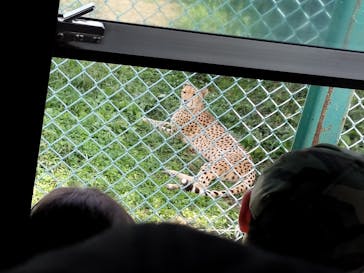 岩手サファリパークに投稿された画像（2023/9/10）