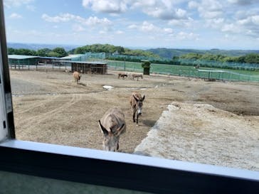 岩手サファリパークに投稿された画像（2023/9/10）